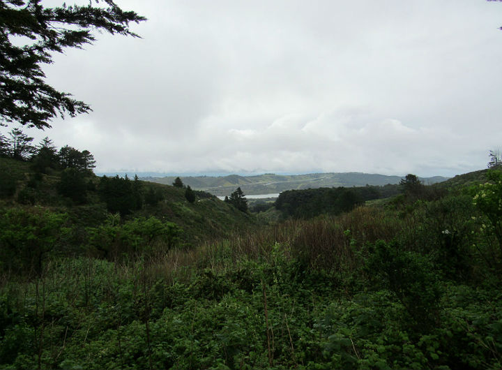 Santa Cruz Mountains